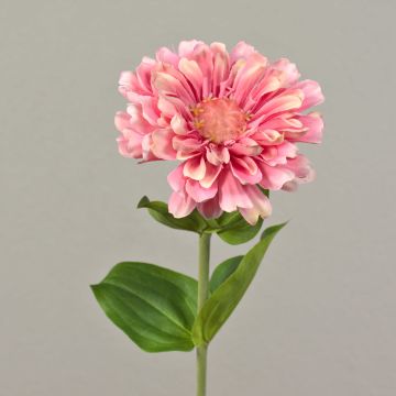 Umělá květina cínie MIANMO, růžová, 60cm