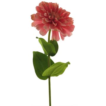 Umělá květina cínie MIANMO, růžová, 60cm