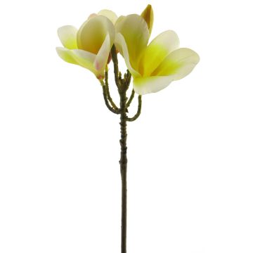Umělá květina Frangipani ZIDONG, žluto-krémová, 35cm