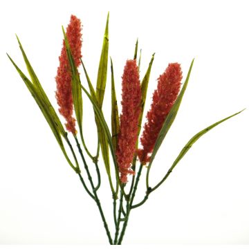 Dekorační tráva vousatec DEMIN, s laty, červená, 28cm
