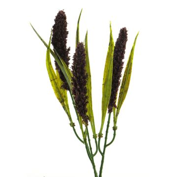 Dekorační tráva vousatec DEMIN, s laty tmavě fialová, 28cm