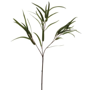 Dekorativní větev Eukalyptus ZIYUMU se semeny, zelená, 80cm