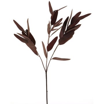 Deko větev eukalyptu YUZIMO se semeny, vínová, 80cm