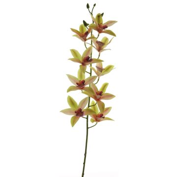 Dekorační větve orchideje YAMEI, růžovo-zelené, 80cm