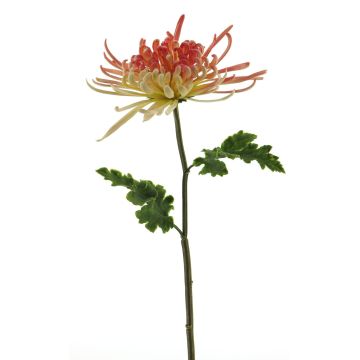 Deko květina chryzantéma YASULI, růžovo-žlutá, 70cm