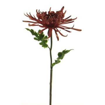 Deko květina chryzantéma YASULI, vínově červená, 70cm