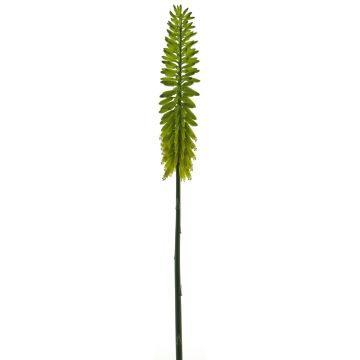 Umělá květina kniphofie QIUMIN, zelená, 85cm