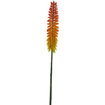 Umělá květina kniphofie QIUMIN, oranžová, 85cm