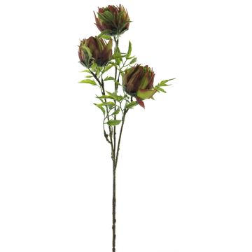 Umělá větev Protea LIUJIA, červeno-zelená, 75cm