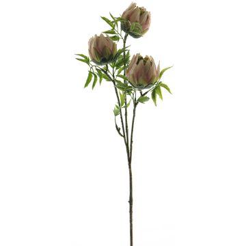 Umělá větev Protea LIUJIA, růžovo-zelená, 75cm