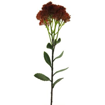 Dekorativní květina Sedum telephium SHUNFEI, oranžová, 60cm