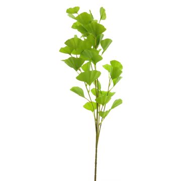 Umělá větev Ginkgo RUOMIN, zelená, 90cm