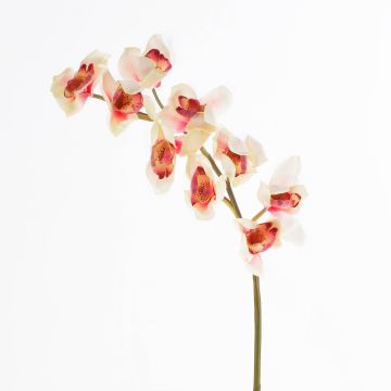 Plastová větev orchideje cymbidium OKSANA, krémovo-růžová, 80cm