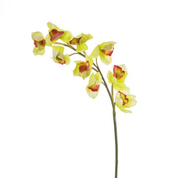 Plastová větev orchideje cymbidium OKSANA, žlulto-zelená, 80cm