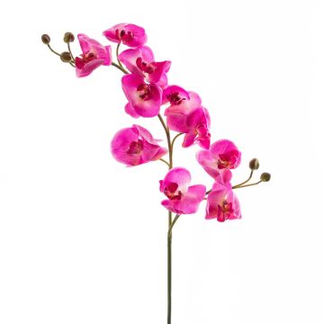 Plastová větev orchideje phalaenopsis STINA, růžová, 90cm