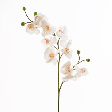 Plastová větev orchideje phalaenopsis STINA, bílá, 90cm