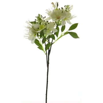Umělá větvička hlohu MEIRAN s květy, krémová, 65cm