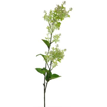 Umělé větve hedvábné rostliny TIANLIN, krémová, 90cm
