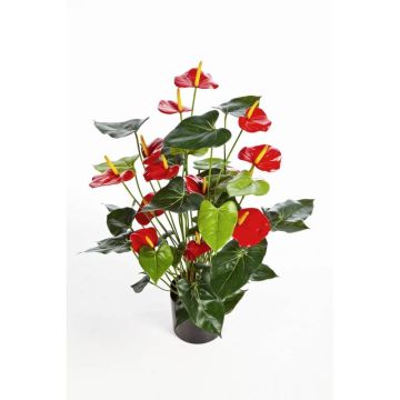Umělá květina toulitka LEVANA, červená, 80cm, 8x10cm