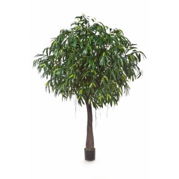 Umělý strom longifolia CHAMIL, umělý kmen, 270cm