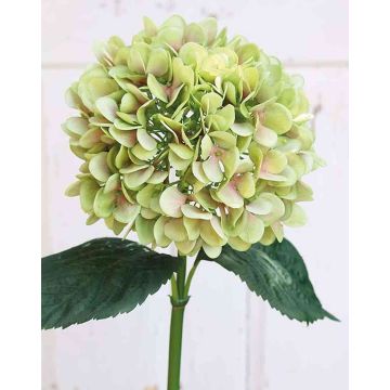 Umělá hortenzie THABEA, zelená-růžová, 65cm, Ø22cm