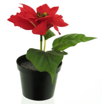 Umělá květina poinsettia NUORU v dekoračním květináči, červená, 15cm