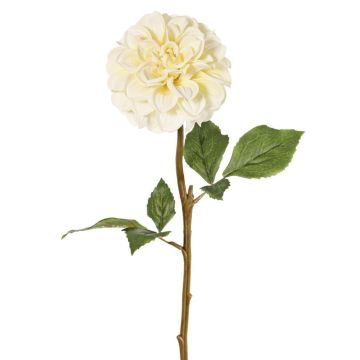 Dekorativní květina jiřina BREDANA, krémová, 60cm, Ø11cm