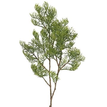 Dekorativní cypřišová větev SILVARIO, zelená, 75cm
