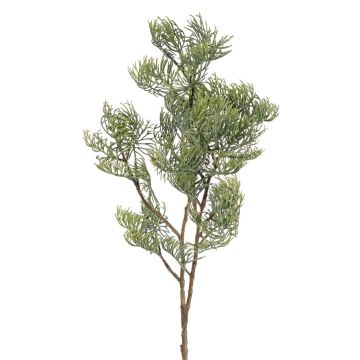 Dekorativní cypřišová větev SILVARIO, šedozelená, 75cm