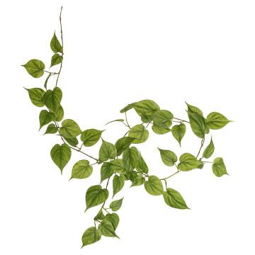 Věnec z pravého filodendronu Scandens MELUBO, zelený, 180cm