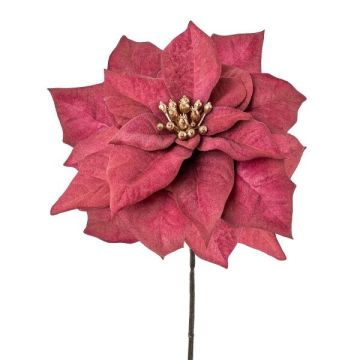 Sametová poinsettie ZEPYRIS, vínově červená, 55cm