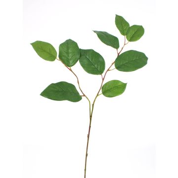 Umělá větvička jabloně KONSTANTIN, zelená, 75cm