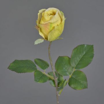 Umělá květina růže POPI, žluto-růžová, 55cm, Ø7cm