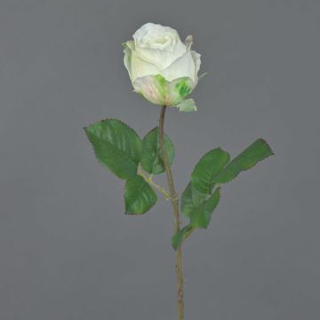 Umělá květina Růže POPI, bílo-zelená, 55cm, Ø7cm
