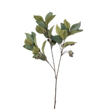 Eukalyptová umělá větev VIZIMIR s plody, zelená, 80cm