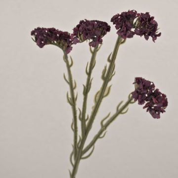 Umělý šeřík AYISHA, suchý vzhled, vínově červená, 65cm
