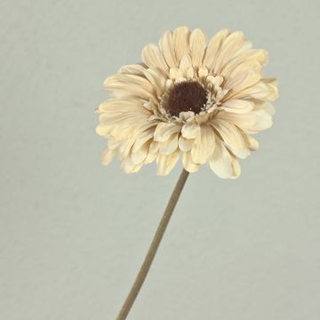 Gerbera TUNGUSKA plastový květ, suchý vzhled, krémově béžová, 50cm