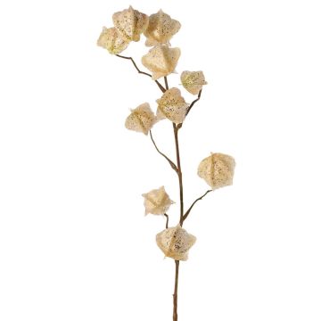 Umělá větev physalis AINOS, plody, třpytky, krémová, 80cm