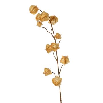 Umělá větvička physalis AINOS, plody, třpytky, béžová, 80cm