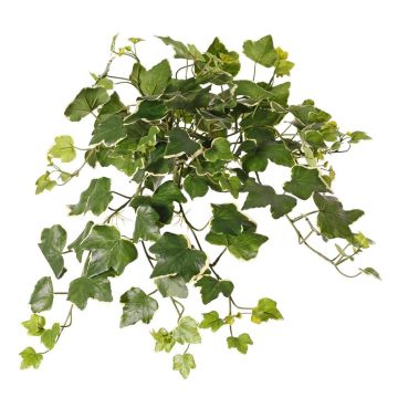 Umělý závěsný břečťan ARJANA, křížová dvířka, zeleno-bílá, 50cm