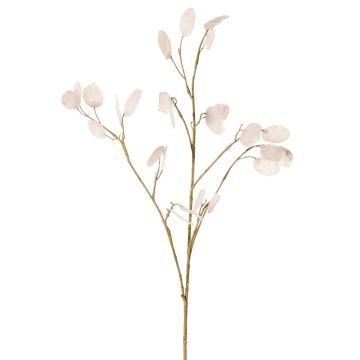 Dekorativní větvička Lunaria KONIA, krémová, 95cm