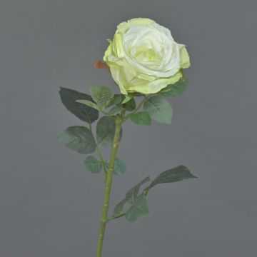 Textilní růže HUSA, bílo-zelená, 75cm, Ø10cm