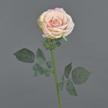 Textilní růže HUSA, růžovo-krémová, 75cm, Ø10cm