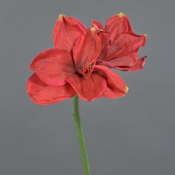 Dekorativní amarylis NARWELA, červená, 70cm, Ø10-13cm