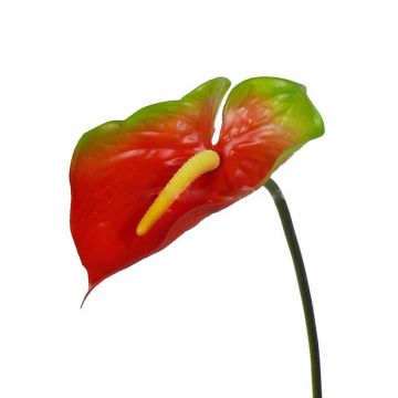 Textilní květina toulitka MOIRA, červeno-zelená, 75cm, 13x20cm