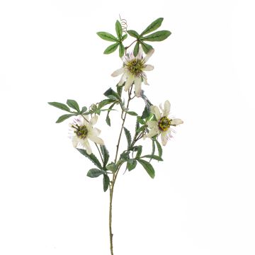 Umělá rostlina mučenka SHARI, bílo-fialová, 100cm, Ø9-11cm