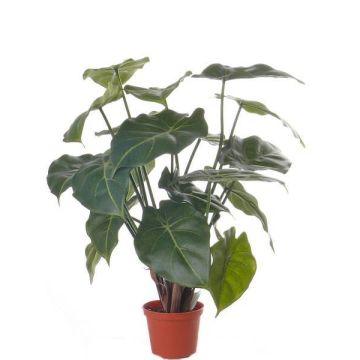 Umělá rostlina syngonium PERAMI, zelená, 45cm