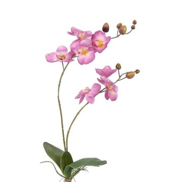 Umělá orchidej phalaenopsis NAARA, se zápichem, růžová, 75cm