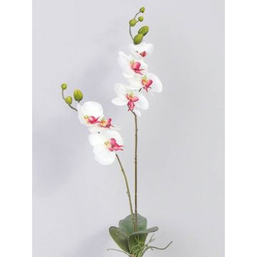Umělá orchidej phalaenopsis NAARA, se zápichem, bílo-růžová, 75cm