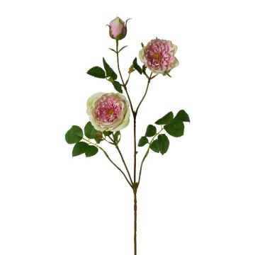 Umělá květinová větev pivoňky KROVEL, zeleno-růžová, 75cm